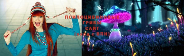 ГАЛЛЮЦИНОГЕННЫЕ ГРИБЫ Аркадак