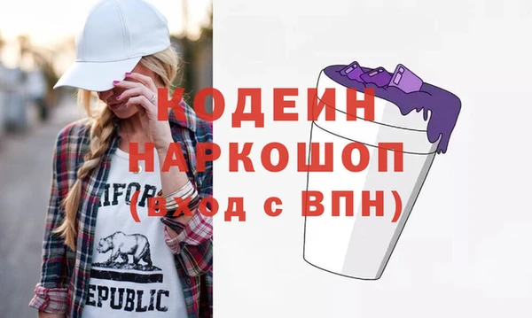 хмурый Арсеньев