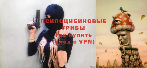 ГАЛЛЮЦИНОГЕННЫЕ ГРИБЫ Аркадак