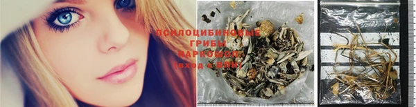 хмурый Арсеньев