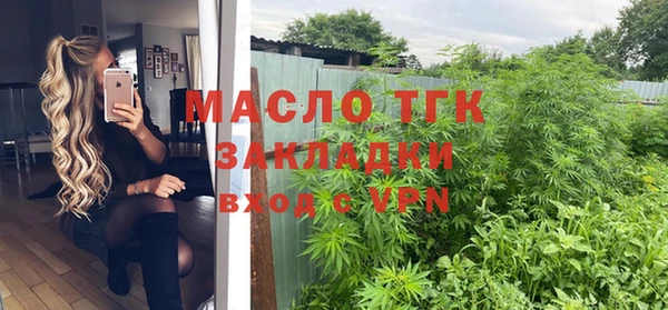 хмурый Арсеньев