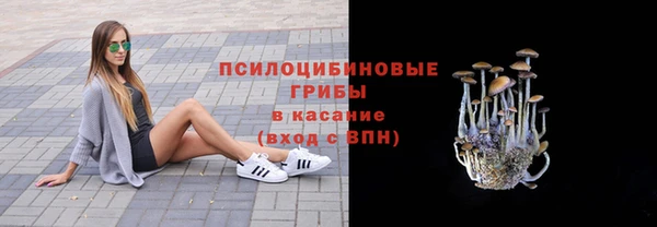 mdma Дмитров