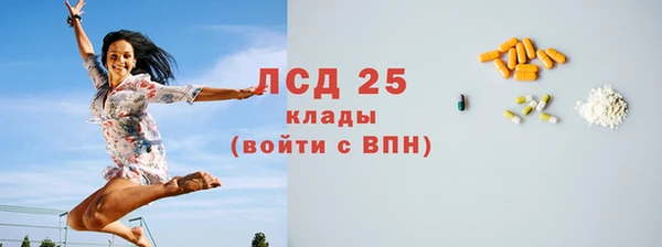 ГАЛЛЮЦИНОГЕННЫЕ ГРИБЫ Аркадак