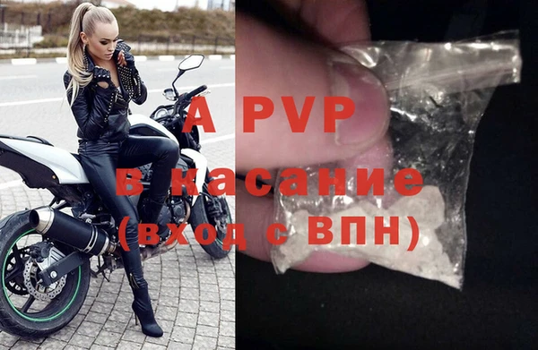 хмурый Арсеньев