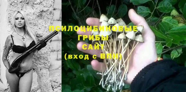 хмурый Арсеньев