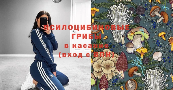 хмурый Арсеньев
