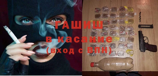 хмурый Арсеньев