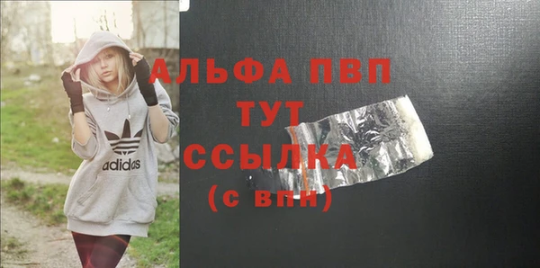 хмурый Арсеньев