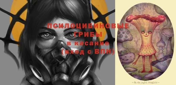 хмурый Арсеньев